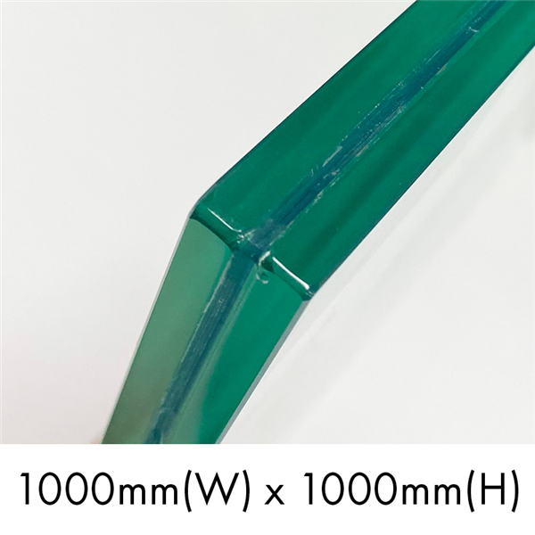 1000DG-1000