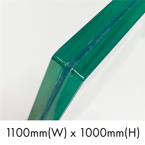 1000DG-1100
