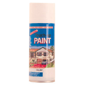 PAINT-S