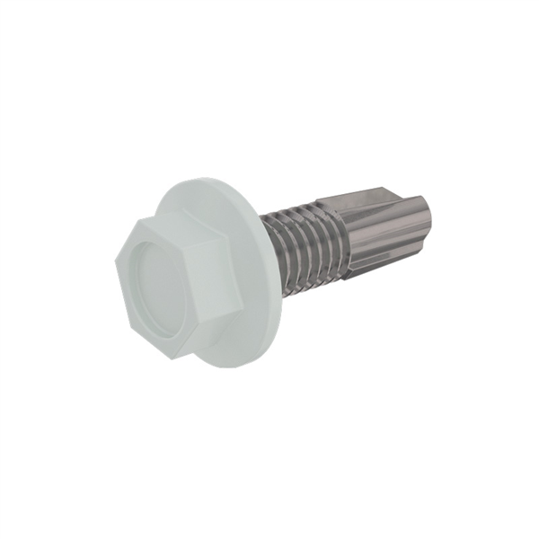 SS-TS-100-W