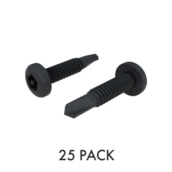 ZF-SECURESCREW-25PK